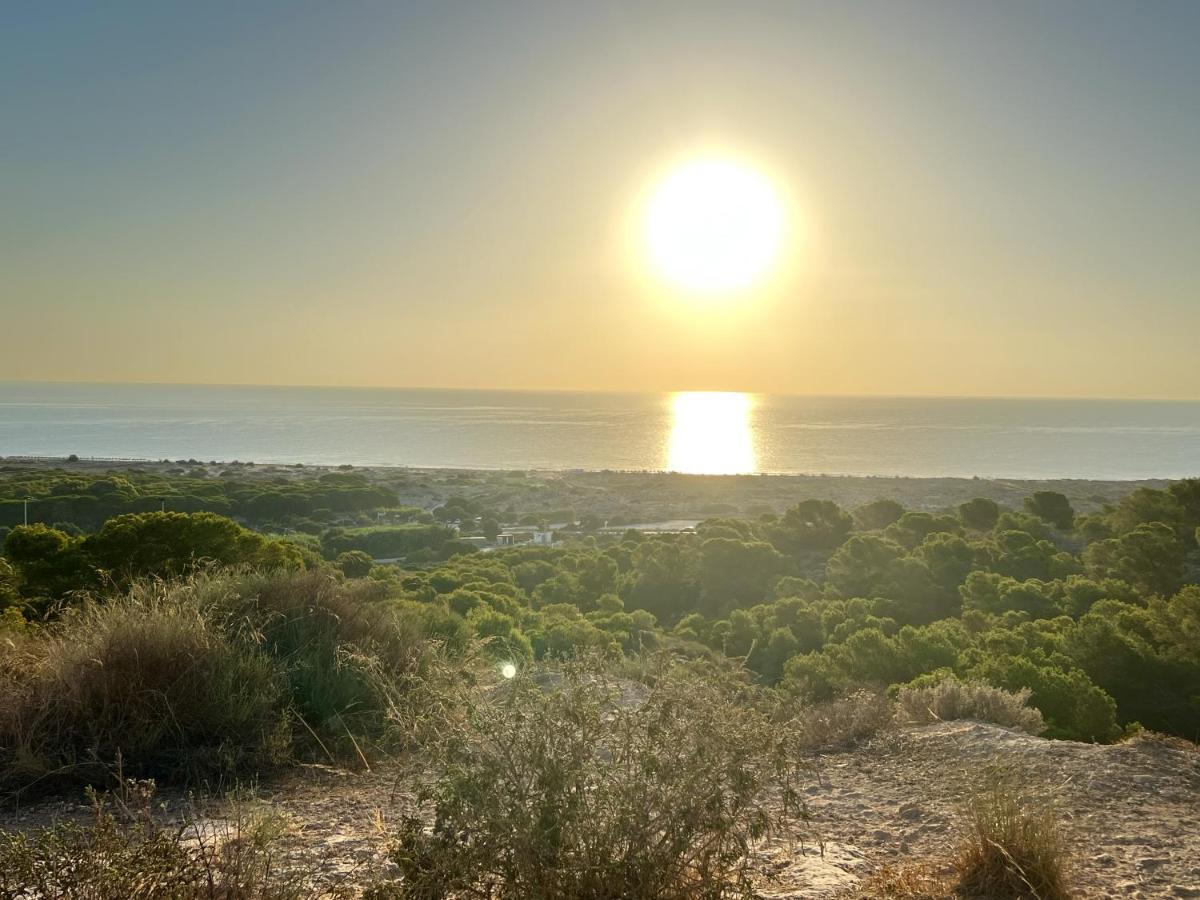 Casa Canarias En Alicante, Playa Y Piscina 格兰阿利坎特 外观 照片