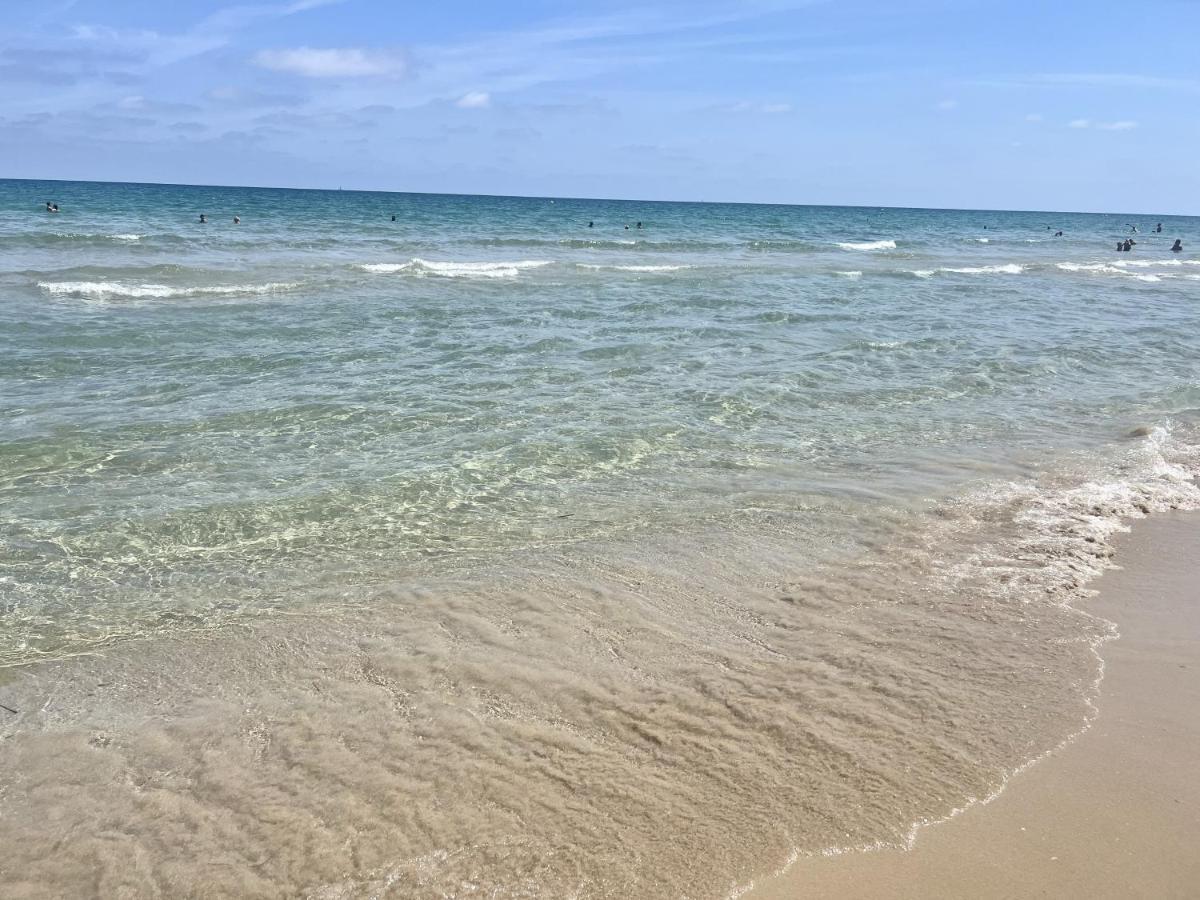 Casa Canarias En Alicante, Playa Y Piscina 格兰阿利坎特 外观 照片